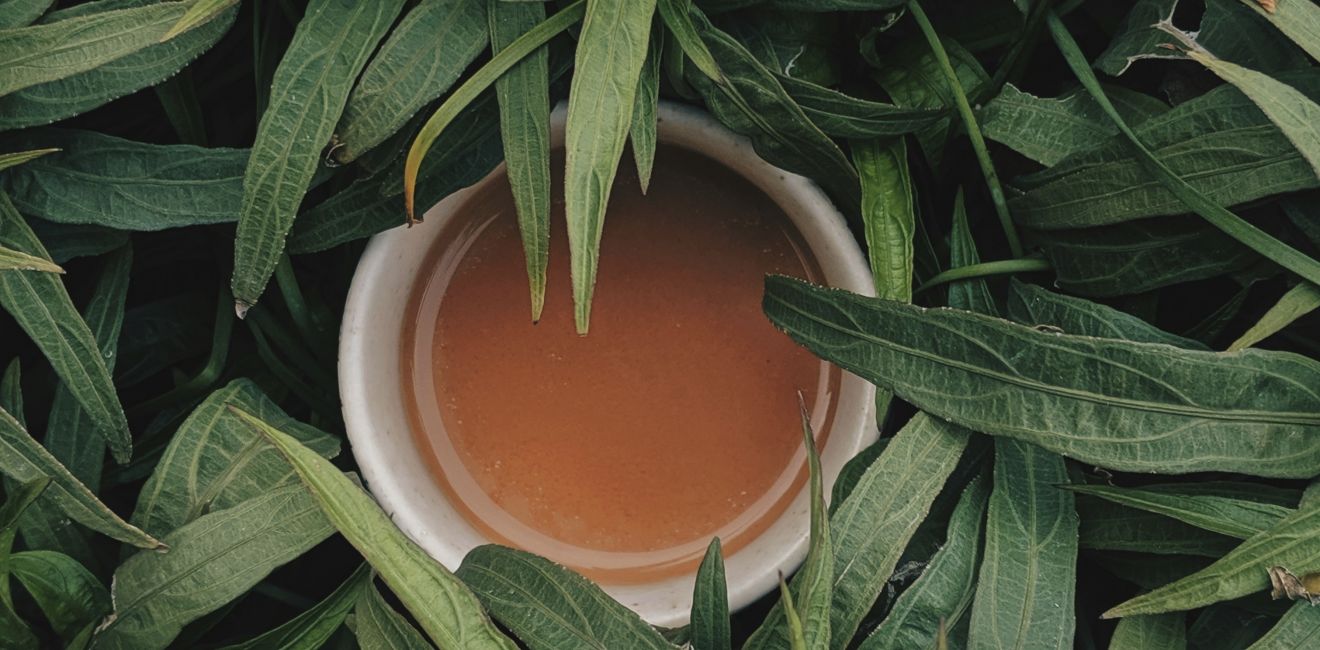 Ayahuasca e Antidepressivos: Uma Combinação Perigosa