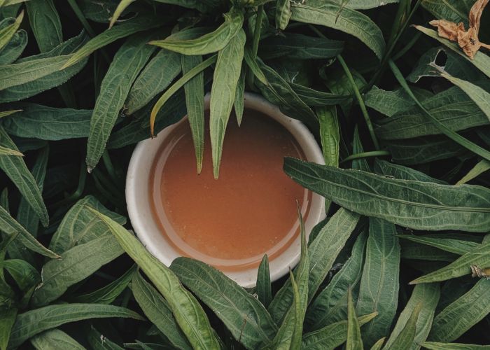 Ayahuasca e Antidepressivos: Uma Combinação Perigosa
